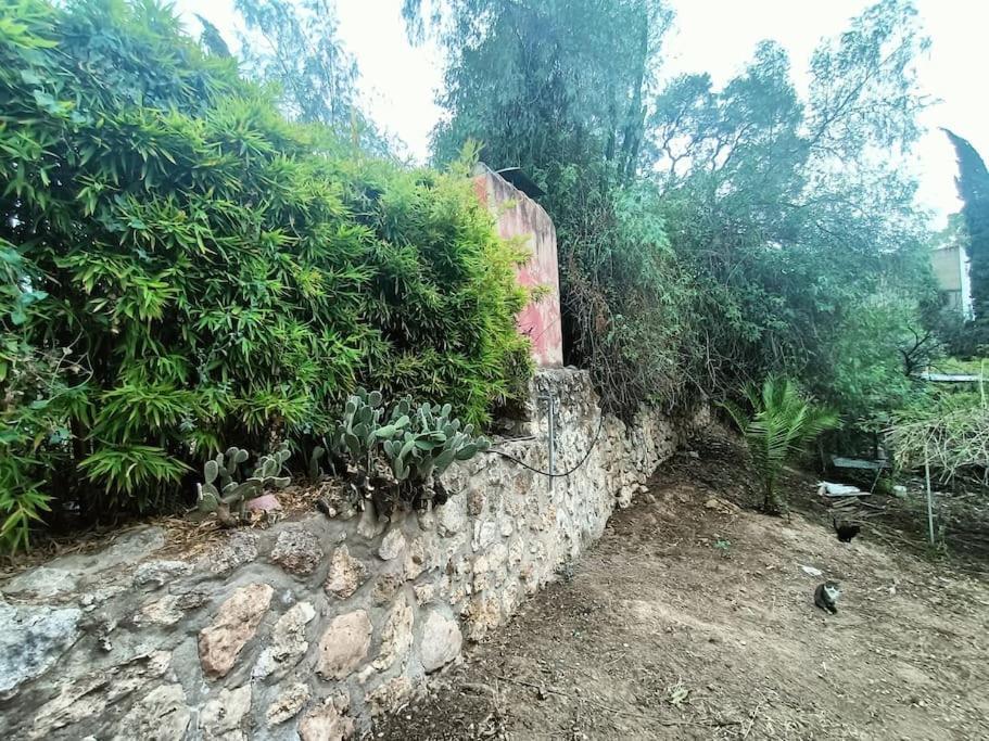 Casa Rural En El Campo Con Animales, Piscina Y Barbacoa Almodóvar del Río Zewnętrze zdjęcie