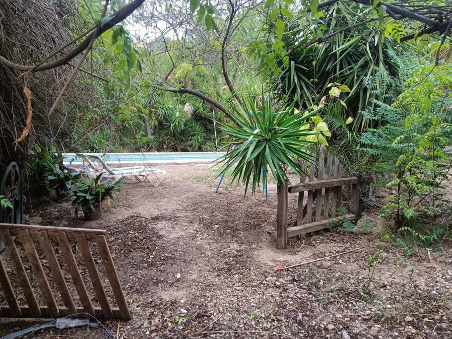 Casa Rural En El Campo Con Animales, Piscina Y Barbacoa Almodóvar del Río Zewnętrze zdjęcie