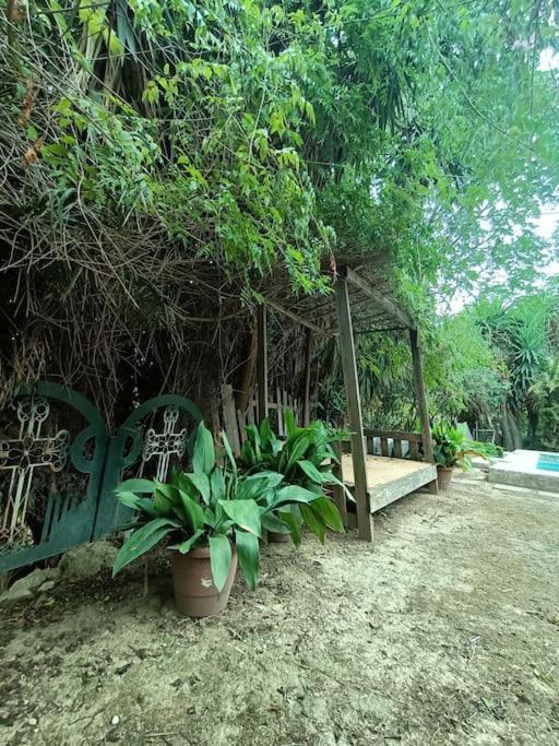 Casa Rural En El Campo Con Animales, Piscina Y Barbacoa Almodóvar del Río Zewnętrze zdjęcie