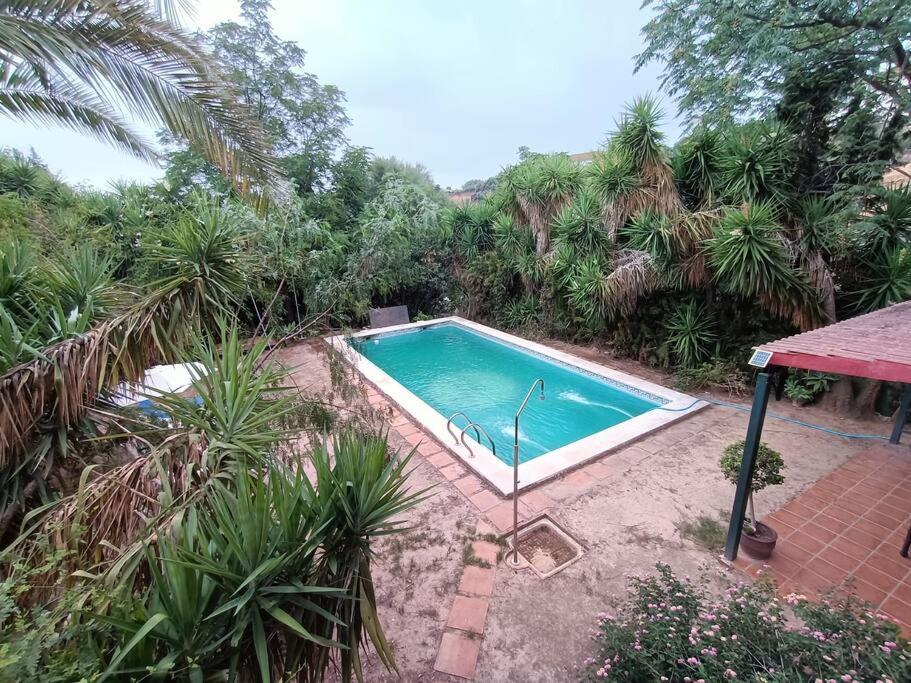 Casa Rural En El Campo Con Animales, Piscina Y Barbacoa Almodóvar del Río Zewnętrze zdjęcie