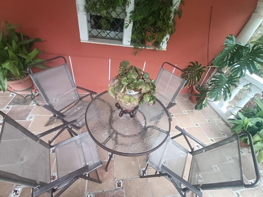 Casa Rural En El Campo Con Animales, Piscina Y Barbacoa Almodóvar del Río Zewnętrze zdjęcie