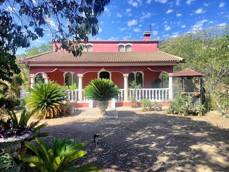 Casa Rural En El Campo Con Animales, Piscina Y Barbacoa Almodóvar del Río Zewnętrze zdjęcie