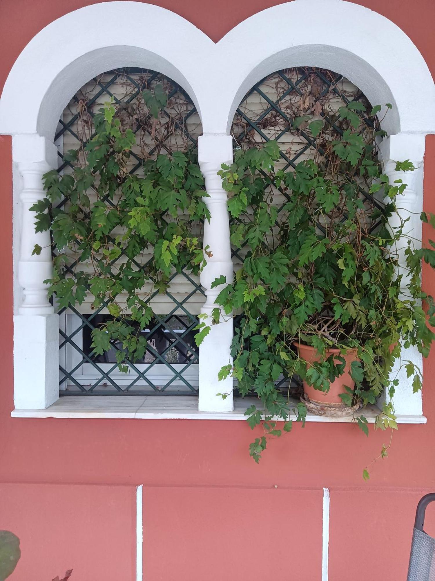 Casa Rural En El Campo Con Animales, Piscina Y Barbacoa Almodóvar del Río Zewnętrze zdjęcie