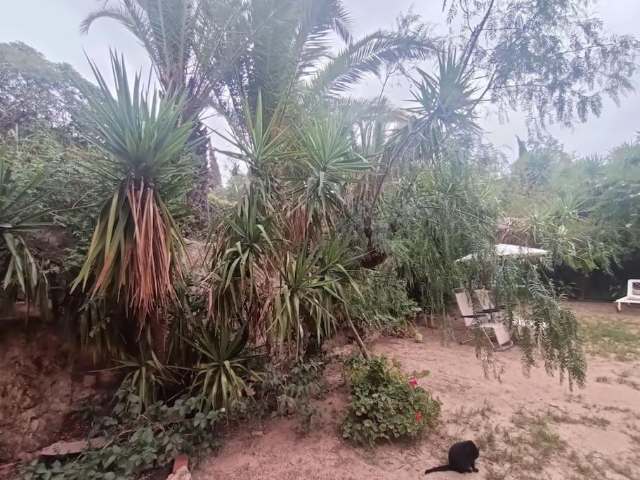 Casa Rural En El Campo Con Animales, Piscina Y Barbacoa Almodóvar del Río Zewnętrze zdjęcie