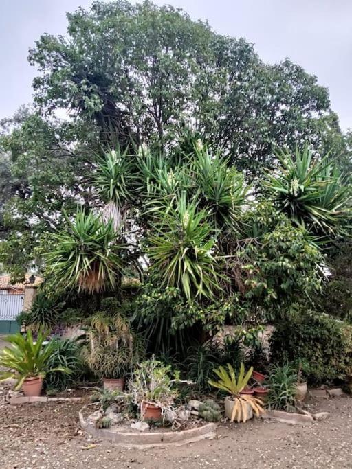 Casa Rural En El Campo Con Animales, Piscina Y Barbacoa Almodóvar del Río Zewnętrze zdjęcie