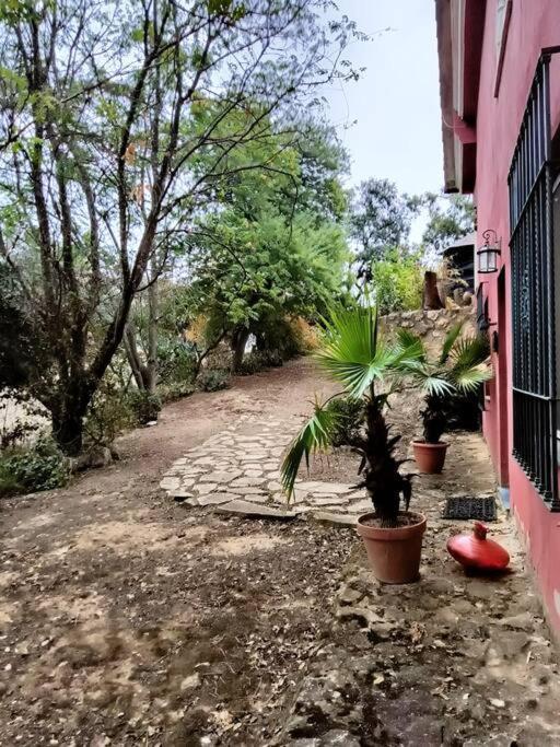 Casa Rural En El Campo Con Animales, Piscina Y Barbacoa Almodóvar del Río Zewnętrze zdjęcie